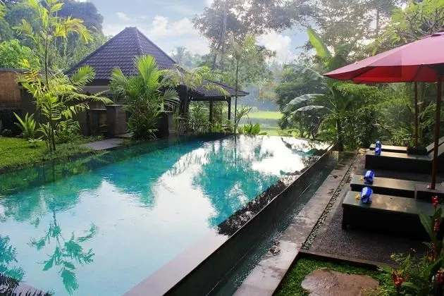 Alam Dania Cottage - Havuz