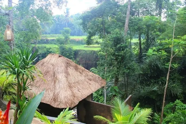 Alam Dania Cottage - Spa