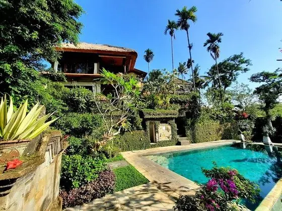 Alam Indah Ubud - Havuz