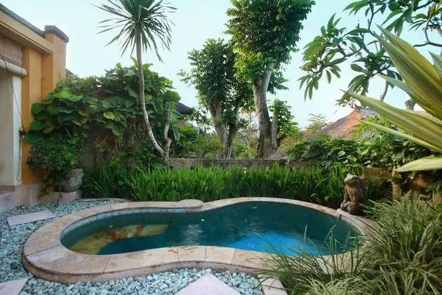 Alam Puri Art Museum - Resort & Spa - Havuz