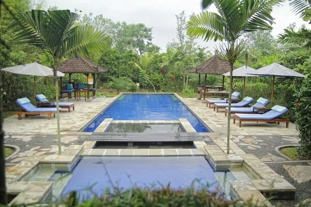 Alam Shanti Ubud - Havuz