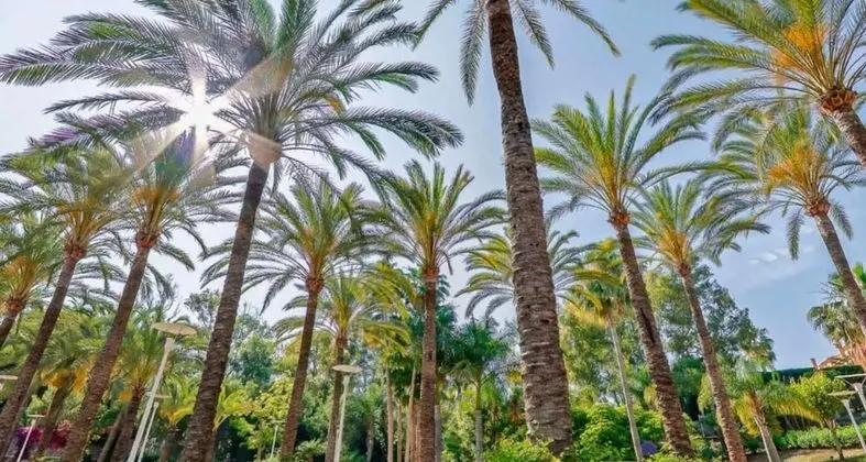 Alanda Marbella Hotel - Dış Mekan