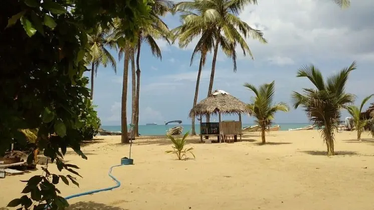 Alankuda Dolphin Village Hotel - Plaj