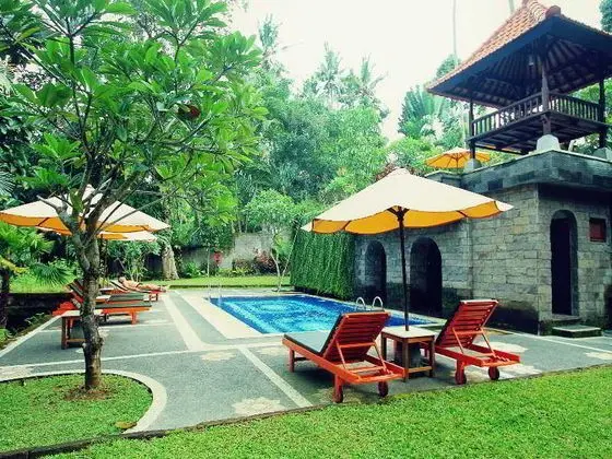 Alas Petulu Cottages - Havuz