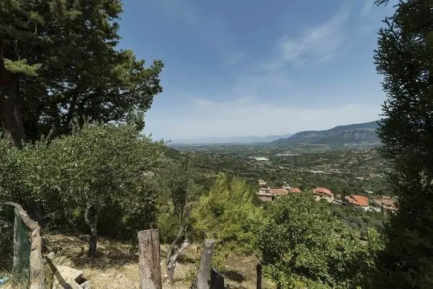 Albachiara Casa Di Campagna B&B - Oda Manzaraları