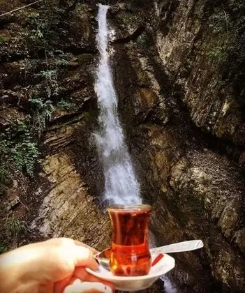 Alban Resort - Yerinde Yemek