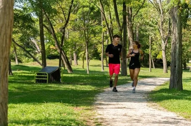 Albarella V4 4 in Isola di Albarella