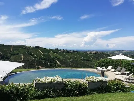 Albergo Castiglione Langhe - Havuz