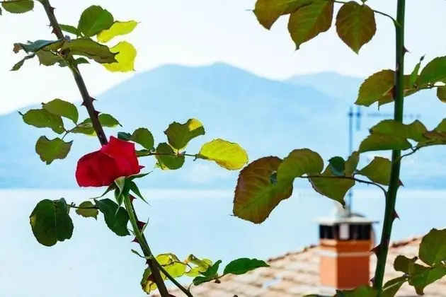 Albergo Sole - Dış Mekan