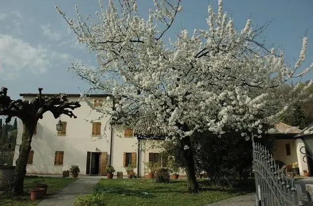 Albergo Volpara - 1