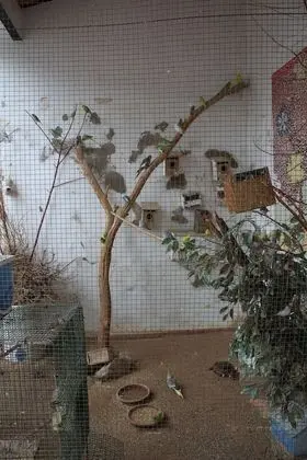 Albergue Camino de Santiago