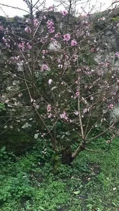 Albergue de Peregrinos La Bilbaina - Dış Mekan