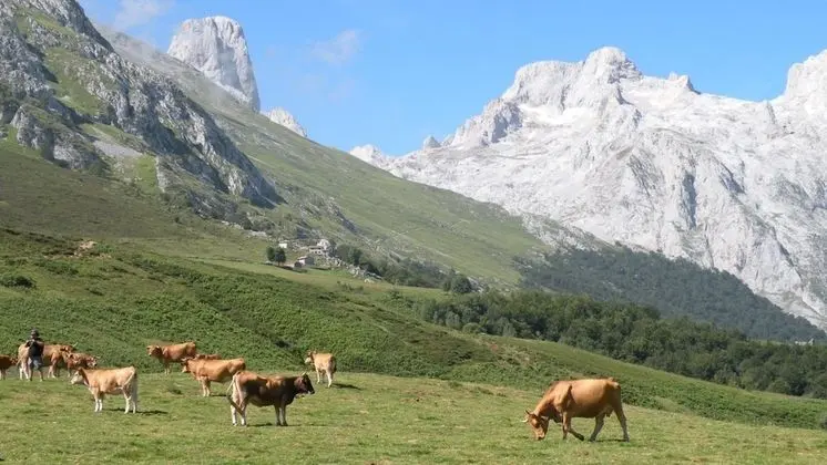 Albergue La Estación - Dış Mekan