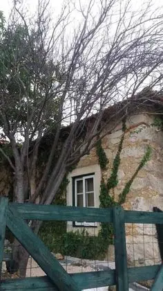 Albergue Pereira - Dış Mekan