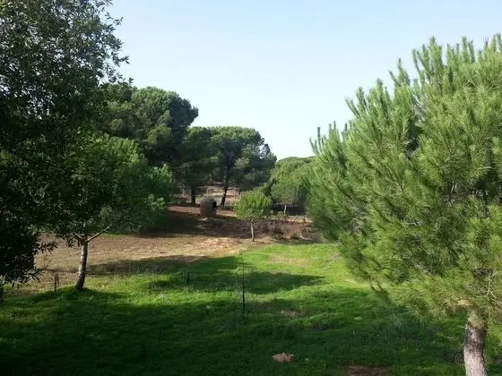 Albergue Rural Territorio del Gato - Dış Mekan
