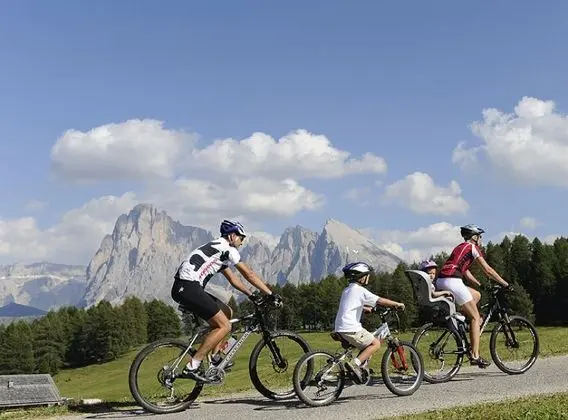 Albion Mountain Spa Resort Dolomites