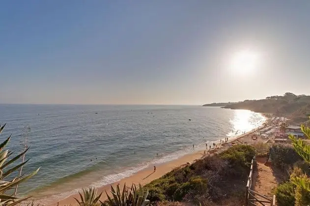 Albufeira Typical With Pool