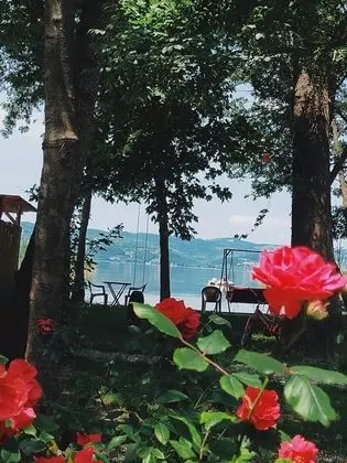 Alcedo Bungalov - Genel