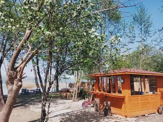 Alcedo Bungalov - Genel