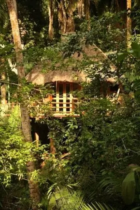 Aldea Bamboo Village - Glamping - Dış Mekan
