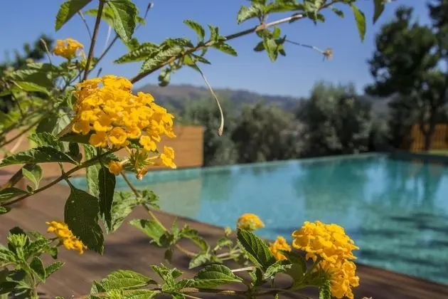 Aldeia da Margarida - Havuz