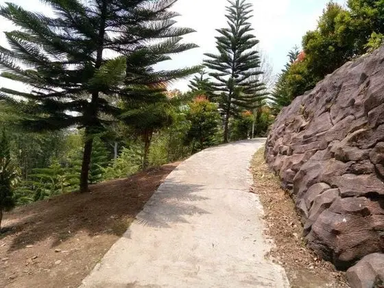 Aldeoz Dempo Pagar Alam Villa Sumsel - Dış Mekan