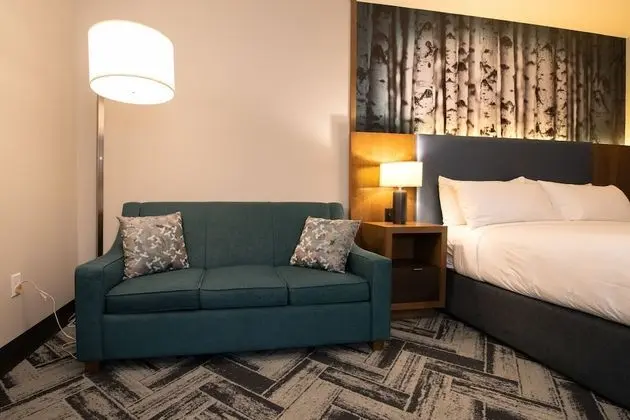 The Alder at Resorts World Catskills - Oda