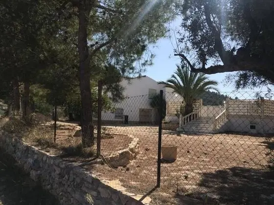 Alegría
