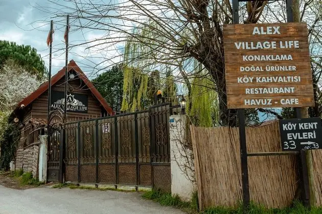 Alex Village Life