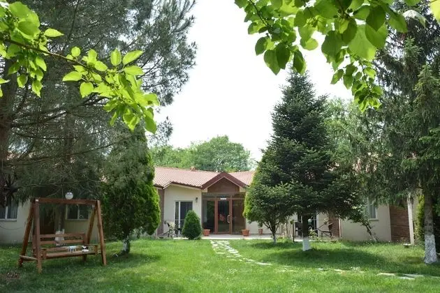 Alex Village Life - Lobi