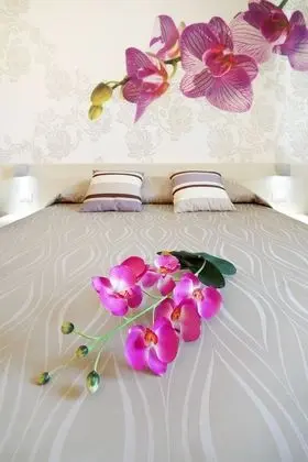 Hotel Alex - Oda