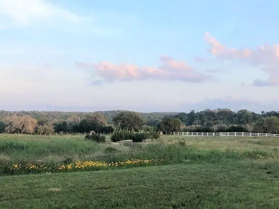 The Alexander at Creek Road