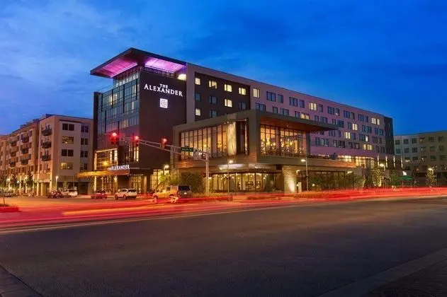 The Alexander