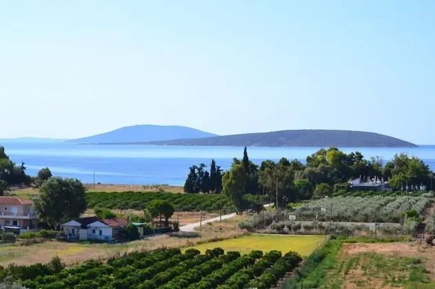 Alexandros Apartments - Dış Mekan