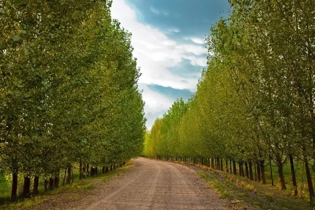 Algodon Wine Estates Resort