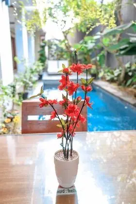 ALIA HOME