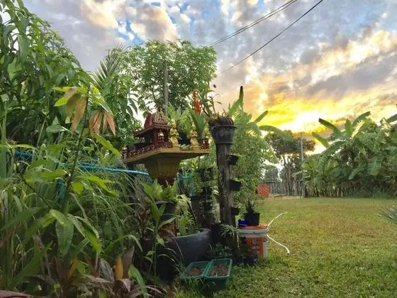 Alibaba Angkor Family Homestay - Dış Mekan