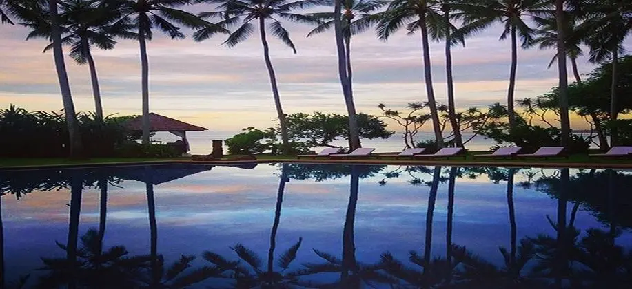 Alila Manggis - Genel