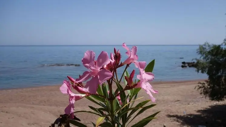 Alisahni Beachfront Villas Rhodes Beachfront Sea View Villa - Oda