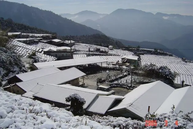 Alishan B&B Yunmingi Aliscenery - Oda