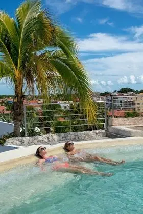 Alkquimia Hotel Lounge and Bar - Havuz