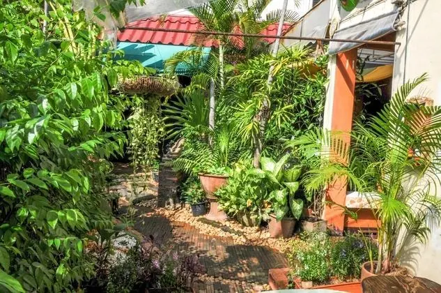 All In 1 Guesthouse Chiang Mai - Dış Mekan