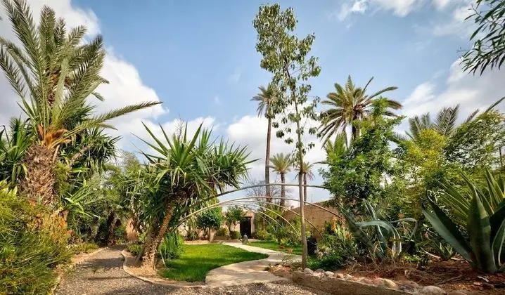 All green house - Dış Mekan