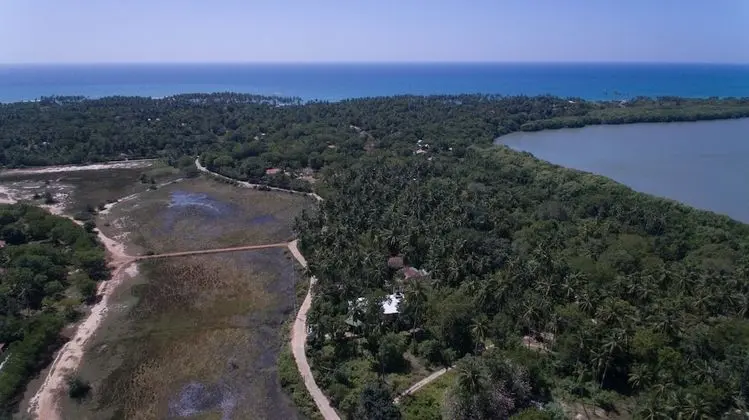 All view resort