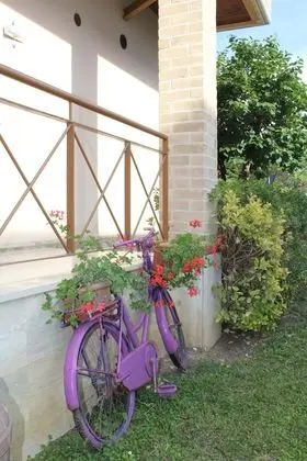 Alle Terme B&B - Öne Çıkan Resim