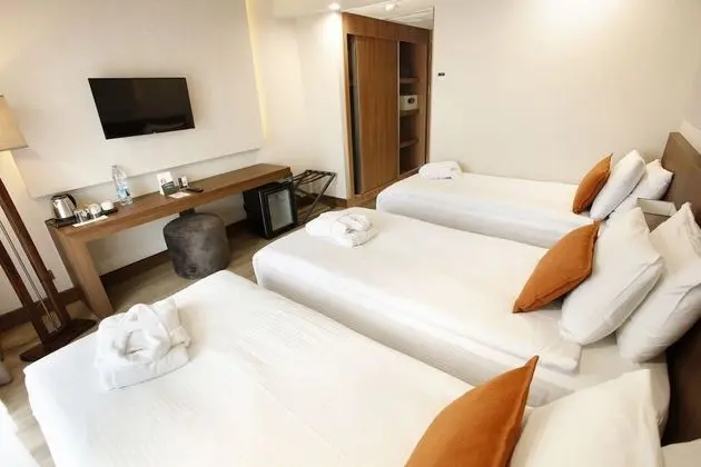 Allia Thermal Health & Spa Kazdagları - 1