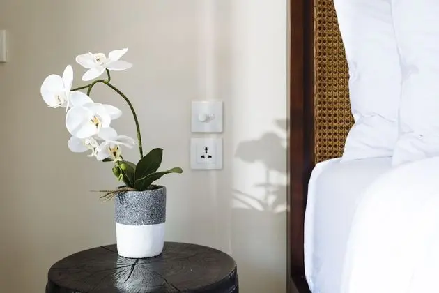 Villa Alliv - CHSE Certified - İç Mekan