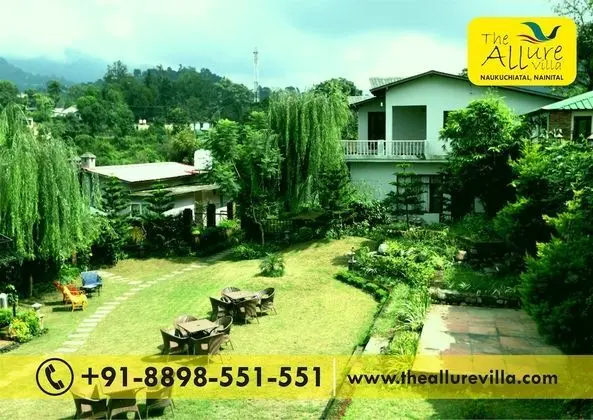 The Allure Villa Resort