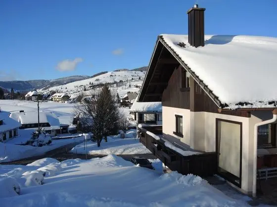 Alluring Apartment in Bernau im Schwarzwald With Valley View - Dış Mekan