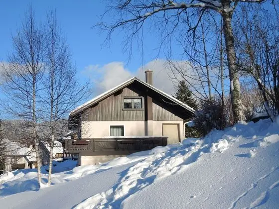 Alluring Apartment in Bernau im Schwarzwald With Valley View - Öne Çıkan Resim